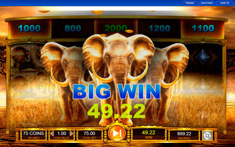 Prize combos in Elephant King slot