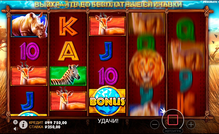 Gameplay in Safari King